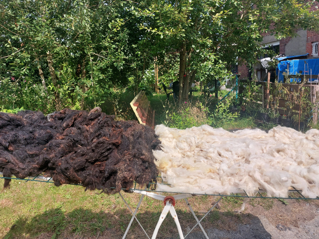 Du mouton au coussin - Stage d'été pour adultes : les inscriptions sont ouvertes!