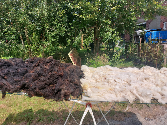 Du mouton au coussin - Stage d'été pour adultes : les inscriptions sont ouvertes!