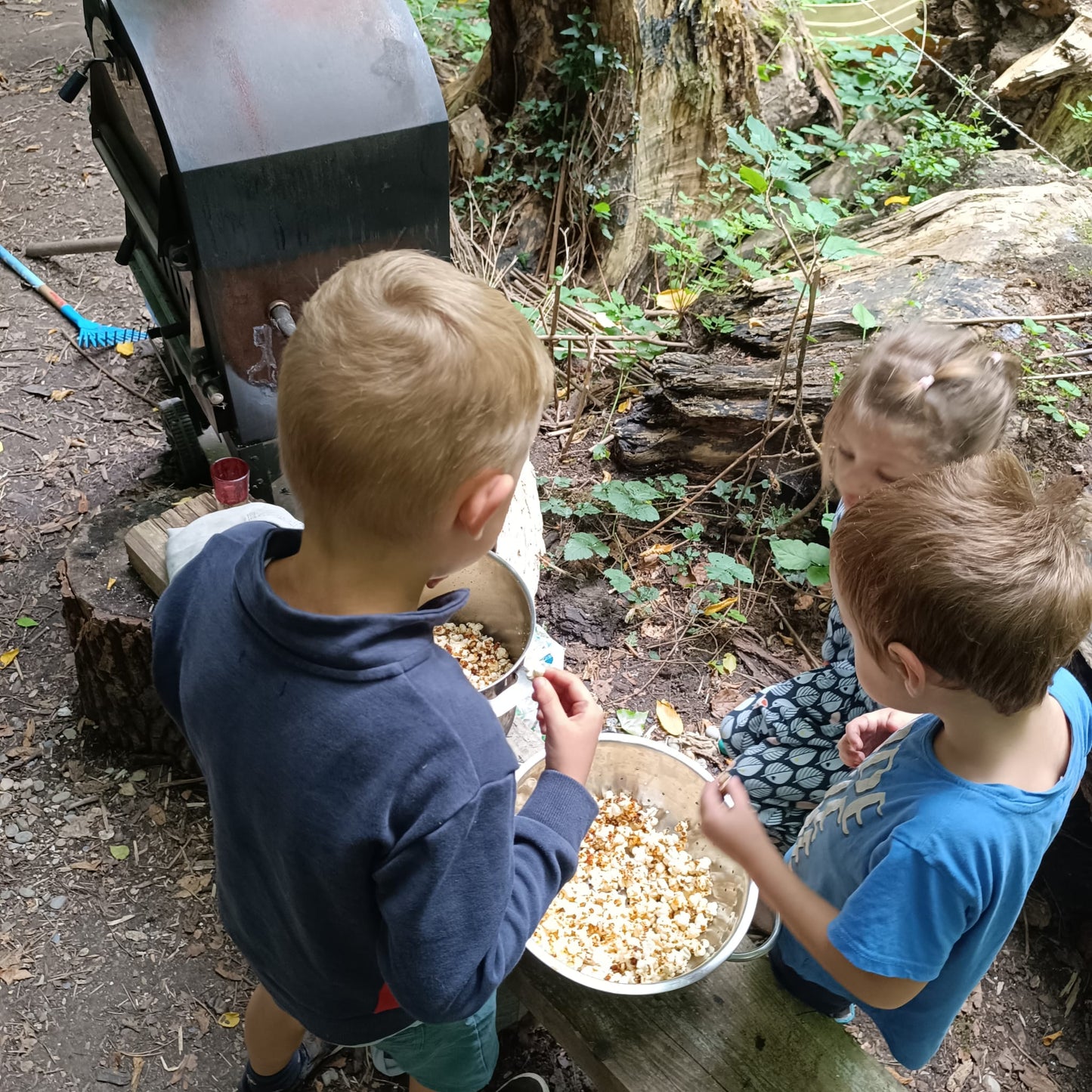 Stage d'automne - Tissage et herboristerie