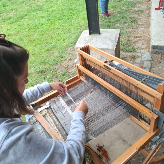De la toison au coussin : stage de tissage (et transformation de la laine)