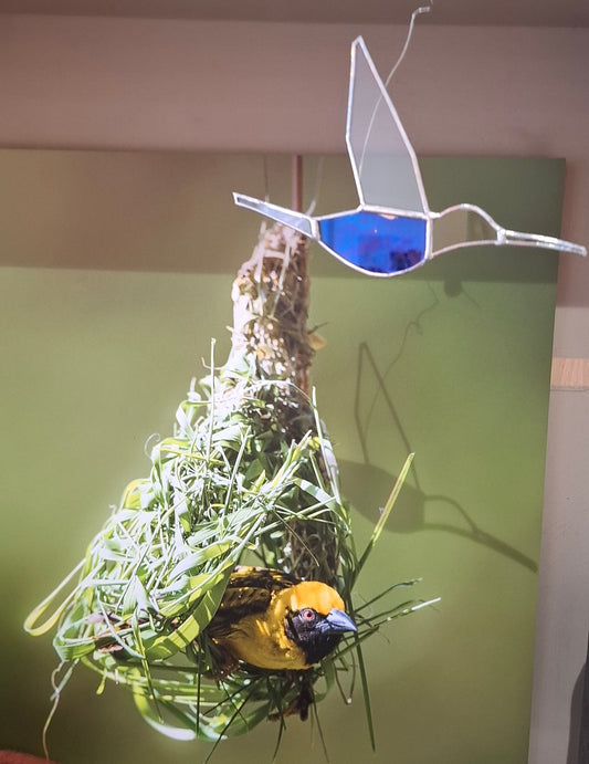 Concours créatif : créez un tisserin à votre image